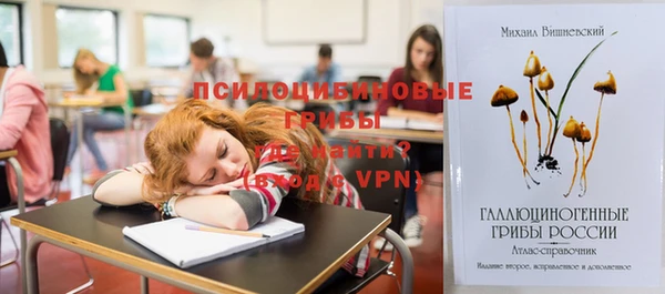 ПСИЛОЦИБИНОВЫЕ ГРИБЫ Алексеевка