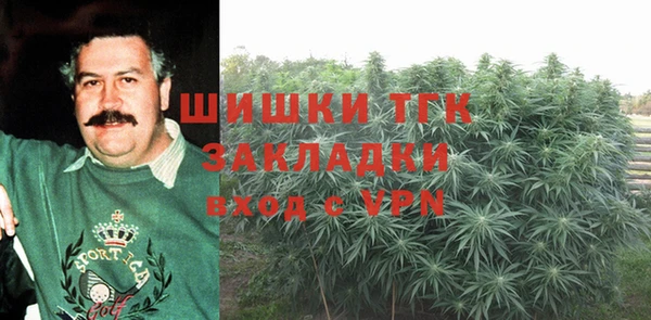 apvp Алзамай