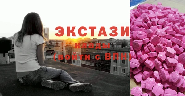 apvp Алзамай