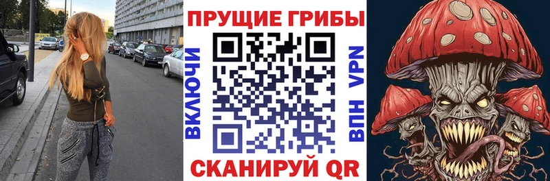 где купить гидра Галлюциногенные грибы мицелий Николаевск